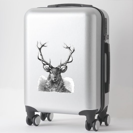 Big Buck Sticker (Koffer)