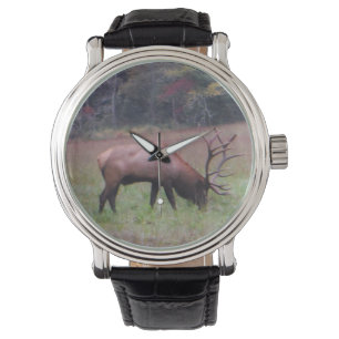 Big Bull Elk in het paarse herfstgras. Foto van Horloge