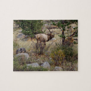 Big Bull Elk - Puzzle Legpuzzel