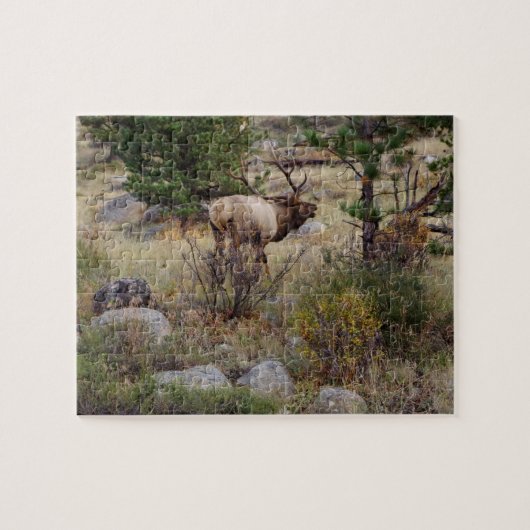 Big Bull Elk - Puzzle Legpuzzel (Horizontaal)