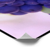 Big Bunch van Juicy Paarse druiven Poster (Hoek)