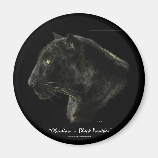 BIG CAT Bedreigde Soortenreeks Magneet (Voorkant)