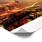 BIG CAT POSTER (Hoek)