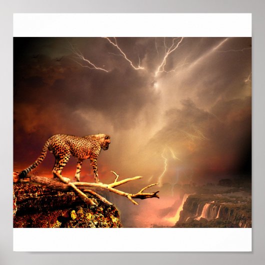 BIG CAT POSTER (Voorkant)