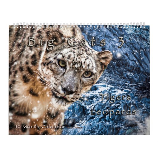 Big Cats Art #3 Calendar Kalender (Hoes)