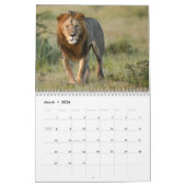 Big Cats du Masai Mara, calendrier kenyan (Mar 2026)