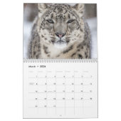Big Cats Kalender (Mar 2026)