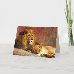 Big Cats Set - 6 Kaart
