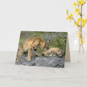 Big Cats Set - 9 Kaart (Gele Bloem)