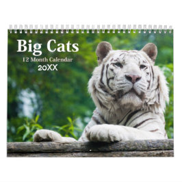 Big Cats Wildlife Kalender 2021