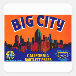 Big City Pears Vierkante Sticker