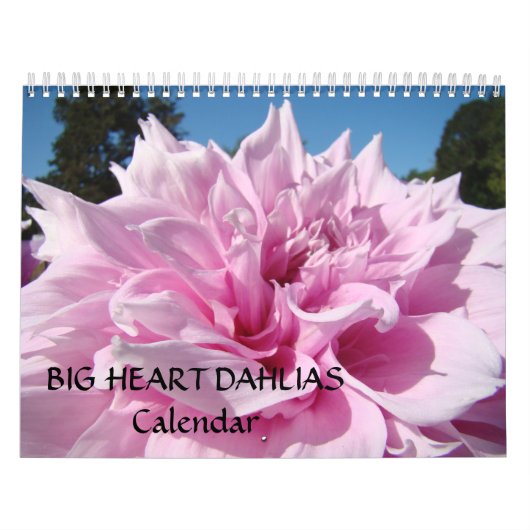 BIG COEUR DAHLIAS Calendrier Amis Dons Fêtes (Protection)