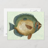 Big Colorful Fish Briefkaart (Voorkant / Achterkant)