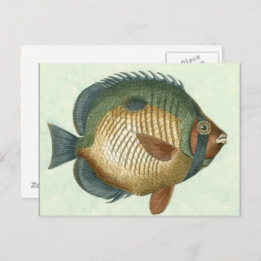 Big Colorful Fish Briefkaart (Voorkant / Achterkant)