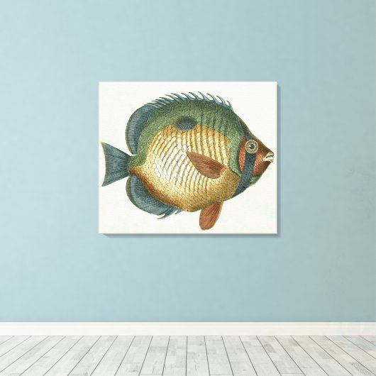 Big Colorful Fish Canvas Afdruk (Insitu (Houten vloer))