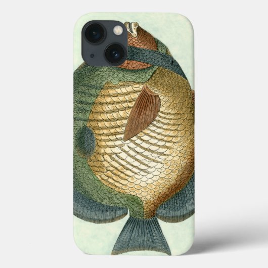 Big Colorful Fish Case-Mate iPhone Case (Achterkant)