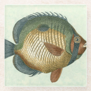 Big Colorful Fish Glazen Onderzetter