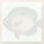 Big Colorful Fish Glazen Onderzetter (Achterkant)