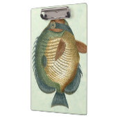 Big Colorful Fish Klembord (Links)