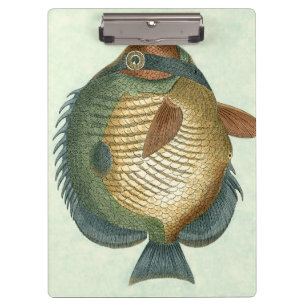 Big Colorful Fish Klembord