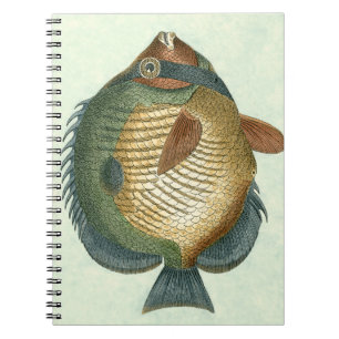Big Colorful Fish Notitieboek