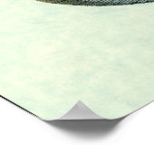 Big Colorful Fish Poster (Hoek)