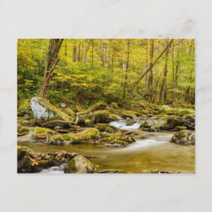 Big Creek   North Carolina Briefkaart