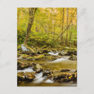 Big Creek North Carolina Briefkaart