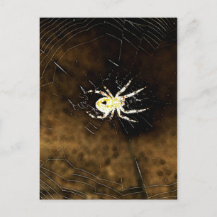 Big Creepy Spider op het web Briefkaart
