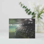 Big Crocodile Briefkaart (Staand voorkant)