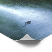 Big Cypress National Preserve Spring Rain Poster (Hoek)