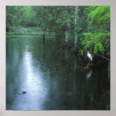 Big Cypress National Preserve Spring Rain Poster (Voorkant)