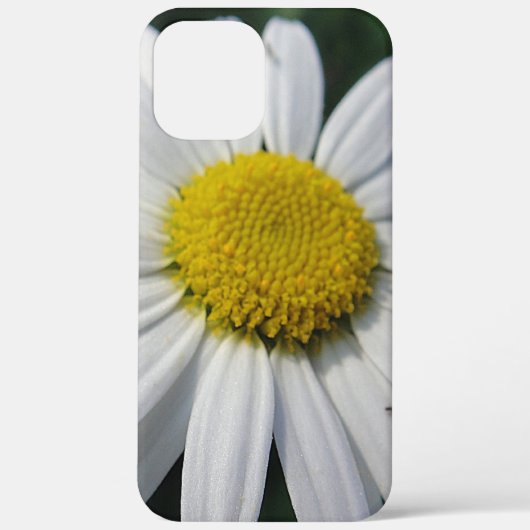 Big Daisy Case-Mate iPhone Case (Achterkant)