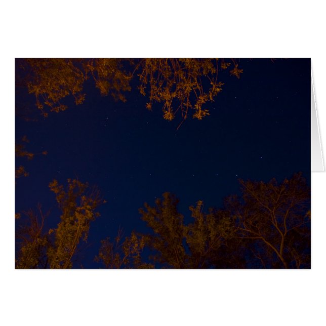 Big Dipper (Voorkant Horizontaal)