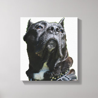 Big Dog Canvas Afdruk