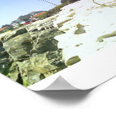 Big Dog Poster (Hoek)