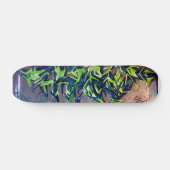 Big Dytch66 Skateboard (Horizontaal)