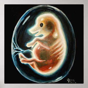Big embryo folie afdrukken