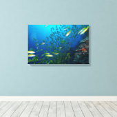 Big Eye Snapper op het Great Barrier Reef Canvas Afdruk (Insitu (Houten vloer))