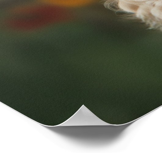 Big-Eyed Australian Labradoodle Poster (Hoek)