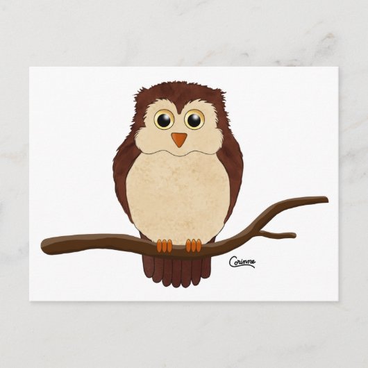 Big Eyed Owl - Carte postale (Devant)