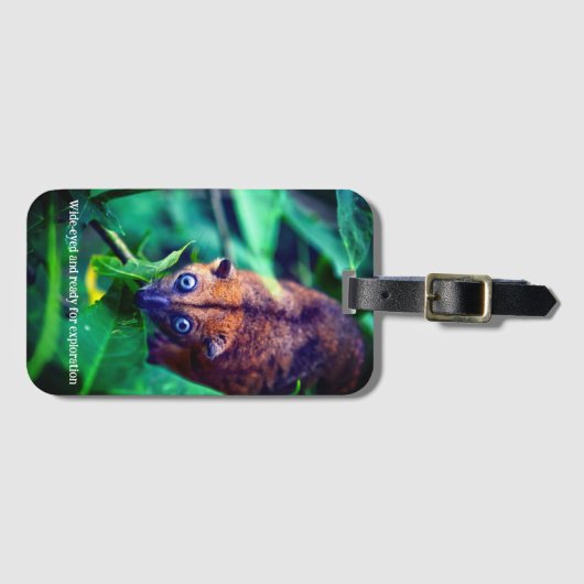 Big Eyed Possum Bagagelabel (Voorkant (horizontaal))