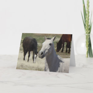 Big Eyes Little Grey Pony Herd Blank Kaart