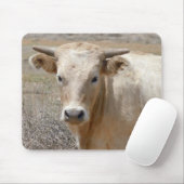 Big Eyes White Charolais Cattle - Western Muismat (Met muis)