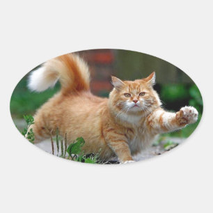 Big Fat Oranje Cat Ovale Sticker