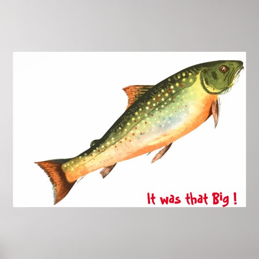 Big Fish Poster (Voorkant)