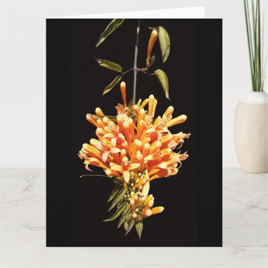 Big Folded Flower Wenskaart Kaart (Voorkant)