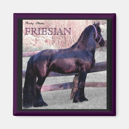 Big Friesian Horse Magnet 2 (Devant)