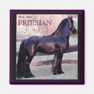 Big Friesian Horse Magnet 2 Magneet