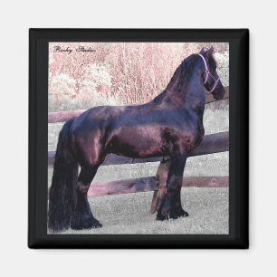 Big Friesian Horse Magnet Magneet